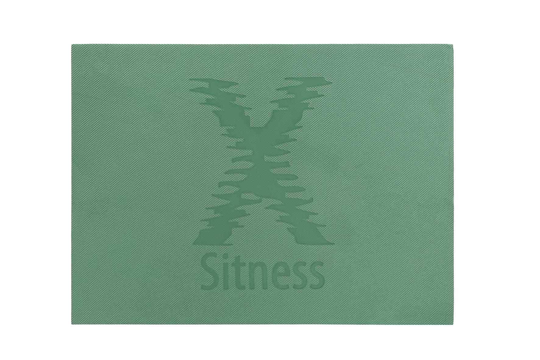 Sitness X Mat mintgrün